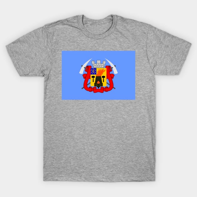 Flag of Luhansk Ukraine T-Shirt by brigadeiro